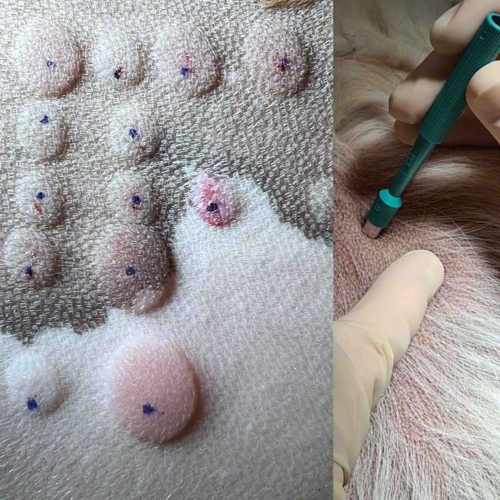 Pricktest