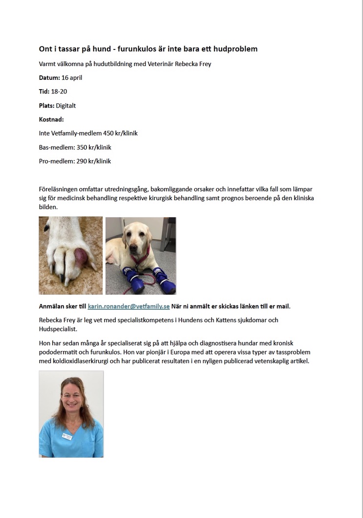 Furunkulos på hund
