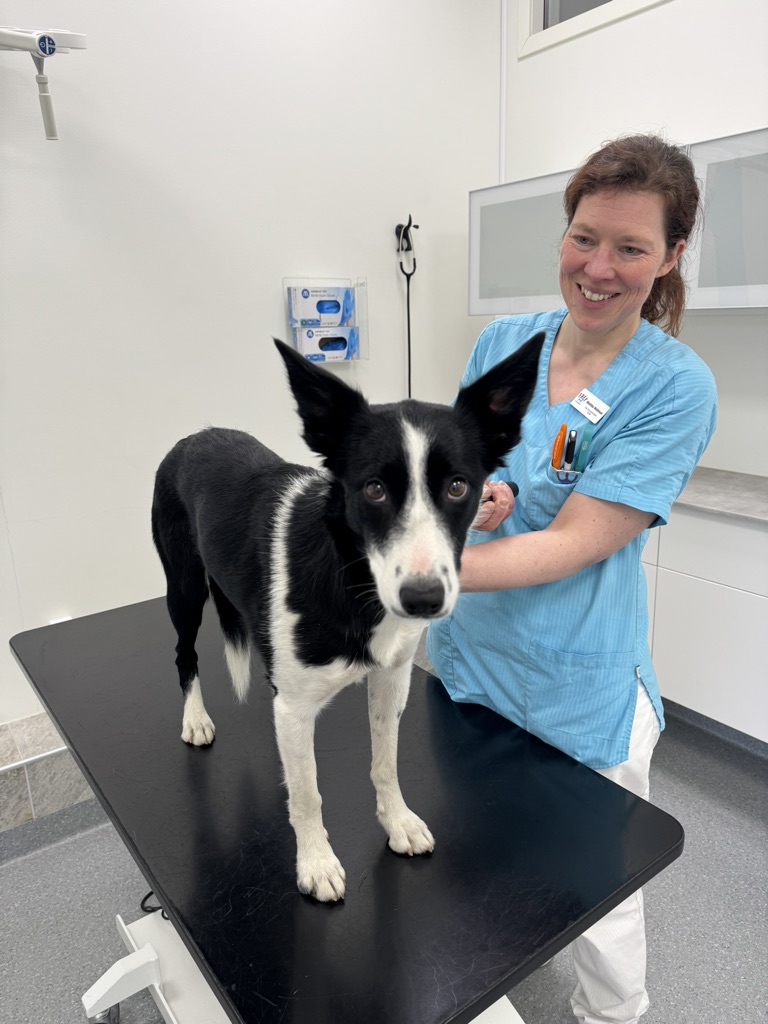 Matilda ska sluta på Frey <3