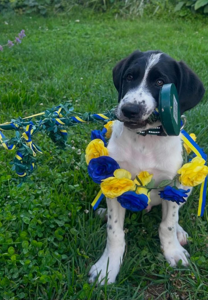 Glad midsommar önskar vi på Frey